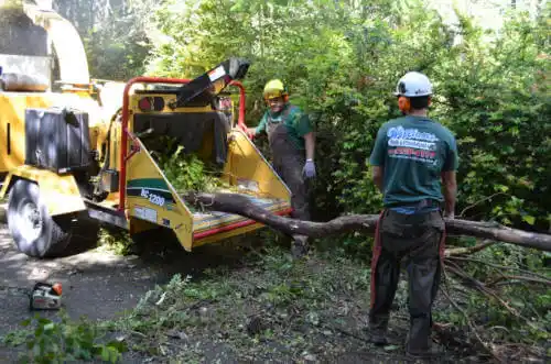 tree services Steeleville